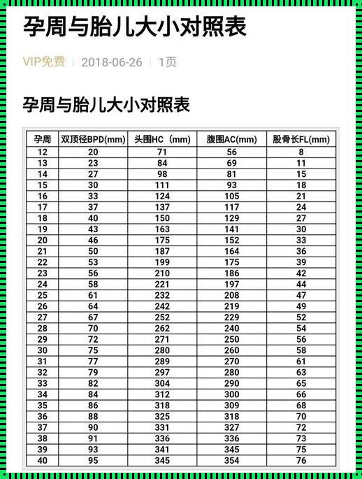 胎儿头部生长指标：揭秘