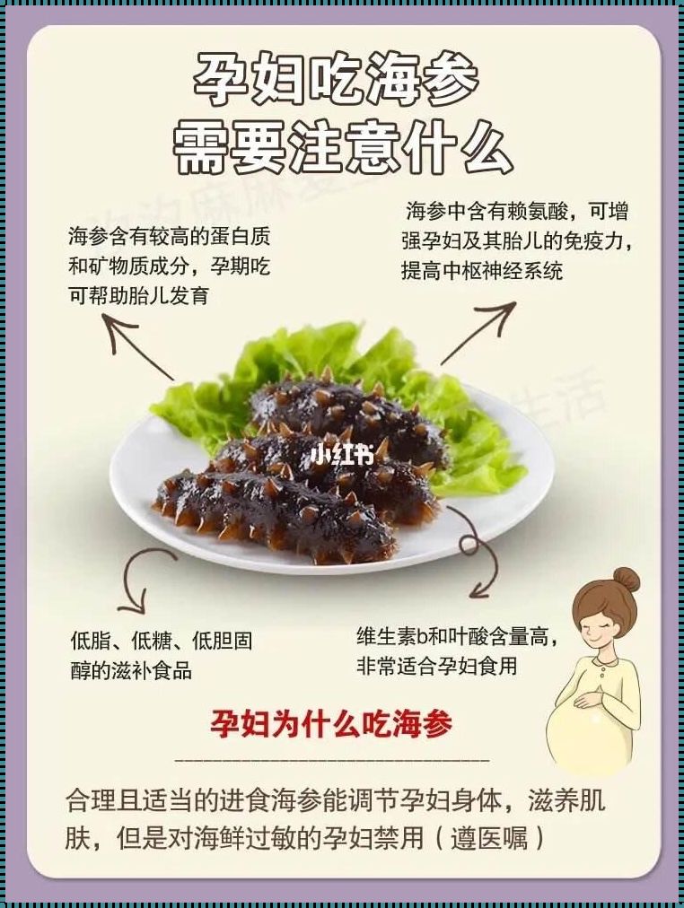 怀孕了可不可以吃海参？