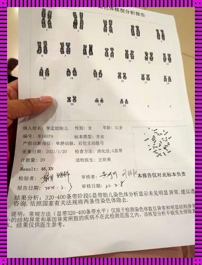 羊水穿刺亲子鉴定：胎儿影响几何？