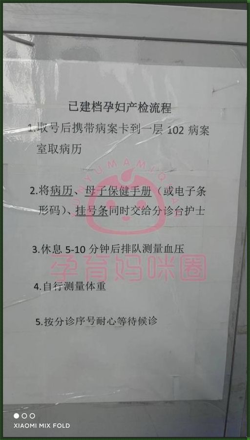 怀孕建档后检查是否免费：一项温暖的关怀