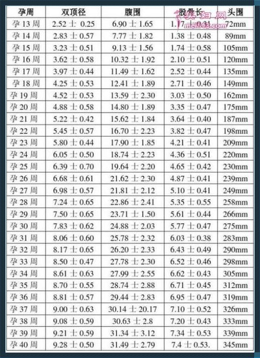 胎儿头围是什么字母表示：一起揭开这个神秘的面纱