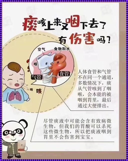 怀孕咳嗽子咳的传说：探秘背后的故事