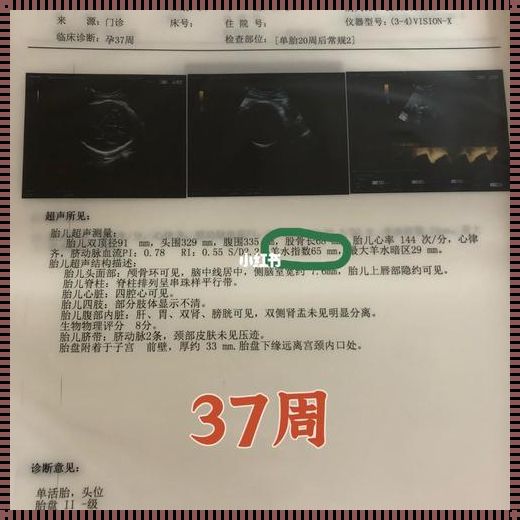 孕晚期37周羊水219毫米深怎么回事？揭秘孕期羊水量的奥秘