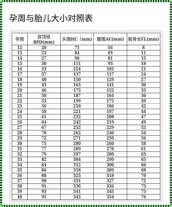 怀孕28周股骨长53mm正常吗？深入解析与探讨