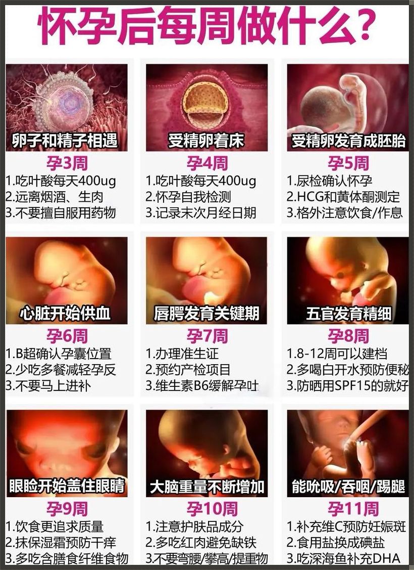 宫外怀孕多久能查出来：寻求答案的历程