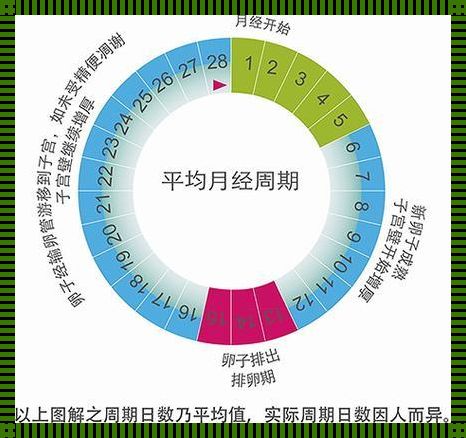 月经周期32天正常吗？揭秘女性生理奥秘