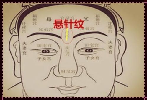 悬针纹女人命运：一种神秘文化的解读