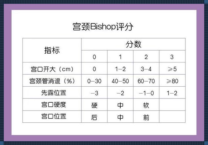 私立医院顺产指标探究：现实与争议