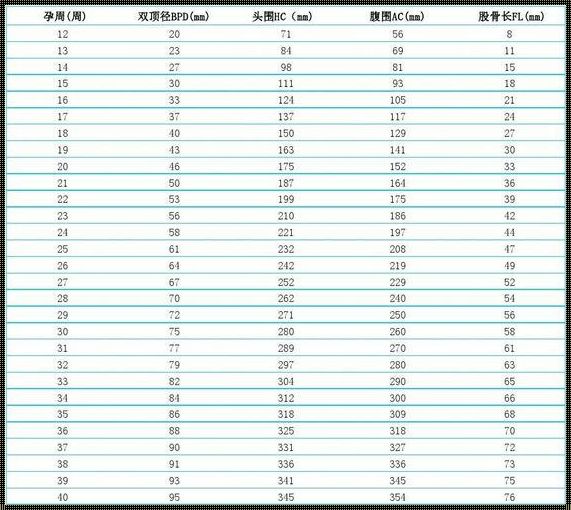 孕27周双顶径大小：关乎生命的奇妙旅程