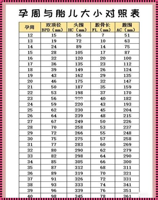 六周胎囊3个数据看男女公式：揭秘性别预测的奥秘