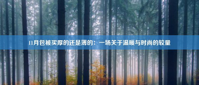 11月包被买厚的还是薄的：一场关于温暖与时尚的较量