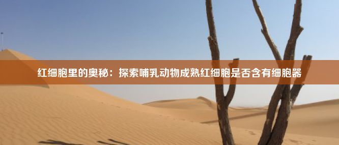 红细胞里的奥秘：探索哺乳动物成熟红细胞是否含有细胞器