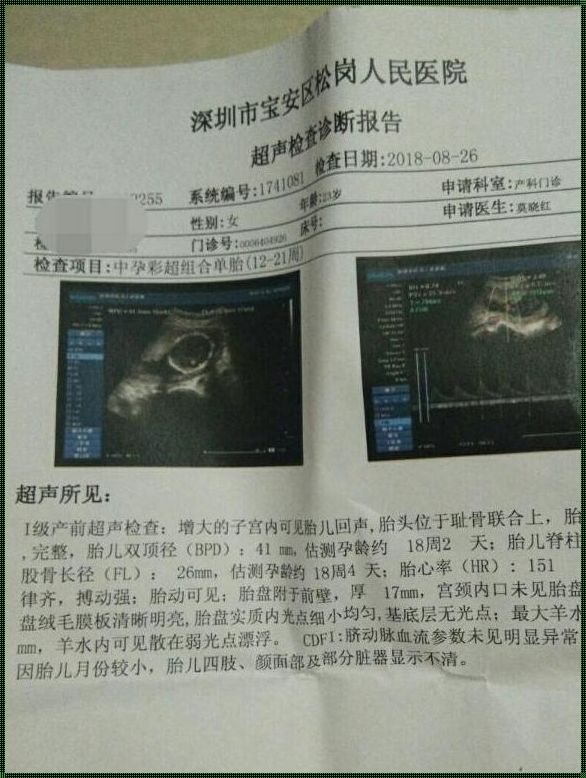 一份怀孕B超报告单的诞生