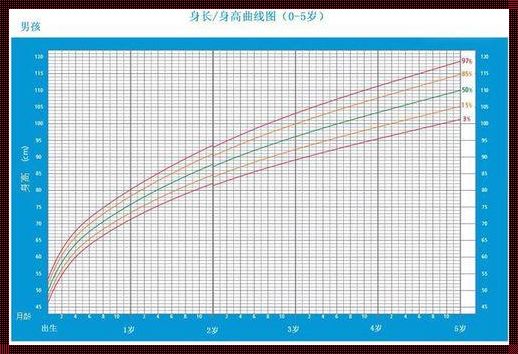 婴儿出生体重的估算方法