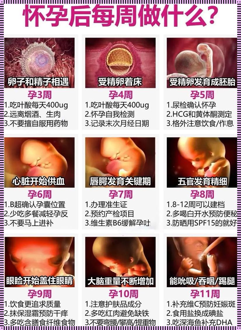 姨妈前一个星期同房怀孕几率：探讨与加强