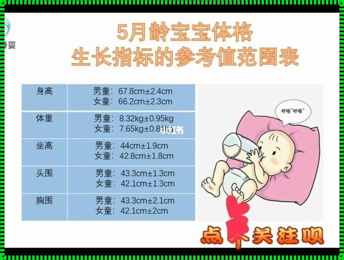 3岁5个月宝宝发育标准