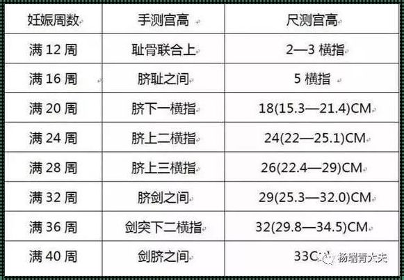 宫高29腹围88胎儿多重：揭秘胎儿生长的秘密