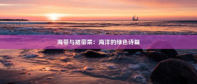 海带与裙带菜：海洋的绿色诗篇