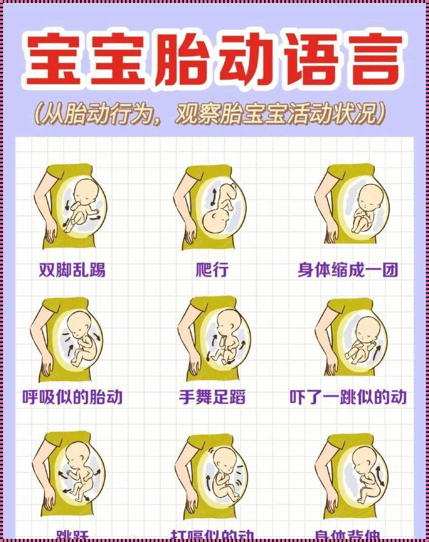 孕晚期贫血与胎儿健康：一个母亲的关怀与科学视角