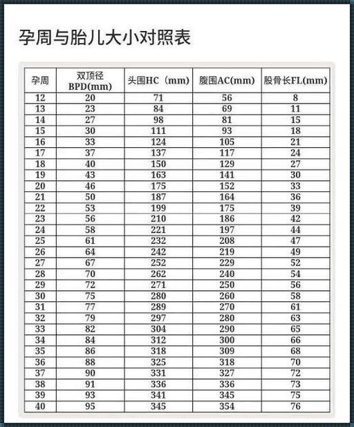 40周双顶径95：生命的奇迹与怀孕知识的探寻