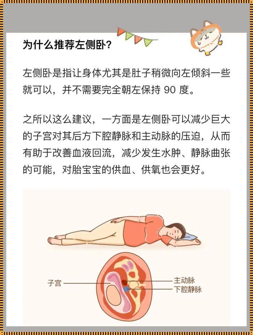 《腹中生命的宁静港湾：怀孕20周的平躺睡眠探究》