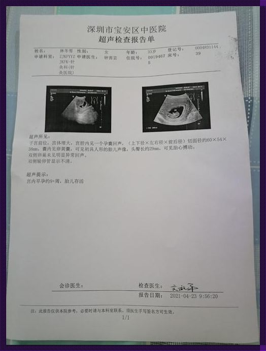 孕9周胎儿性别的科学探索与母亲情感的共鸣