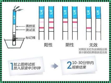 验孕棒的奥秘：生命的早期信号与科学的力量