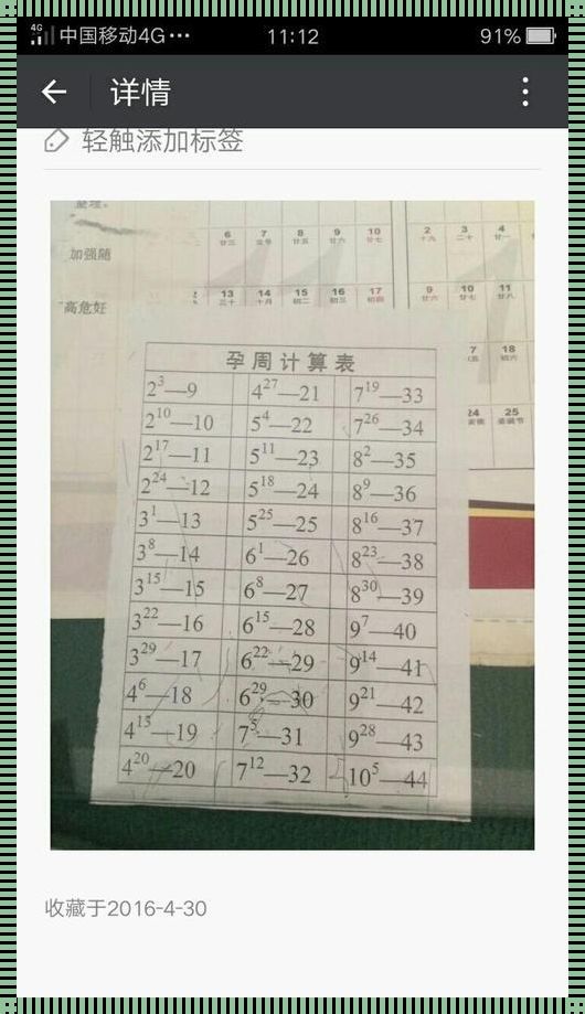 孕育生命的计算：妊娠周的科学与艺术