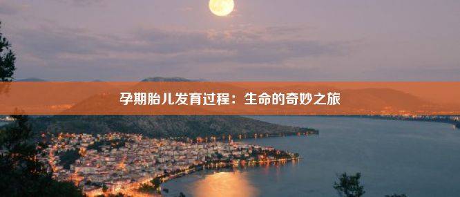 孕期胎儿发育过程：生命的奇妙之旅