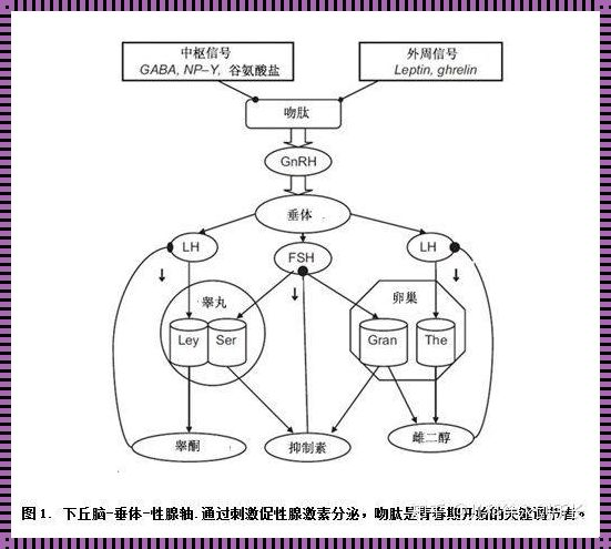 《中枢性性早熟：迷雾中的曙光——诊断与治疗的新共识》