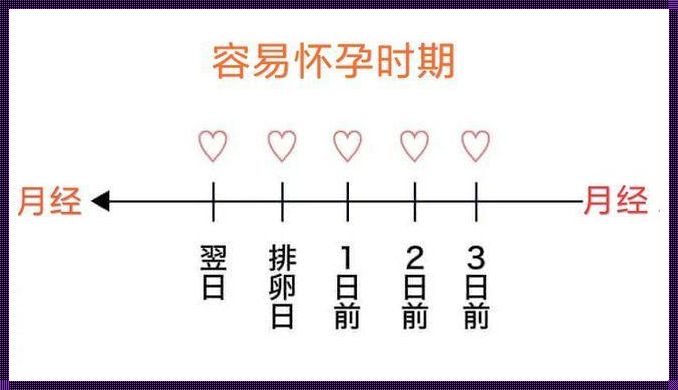 一般几天就可以怀孕：生命奇迹的孕育之旅