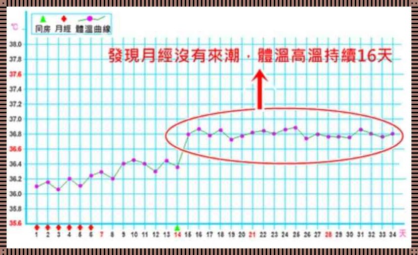 同床后最快几天可以验孕：生命之花的初绽