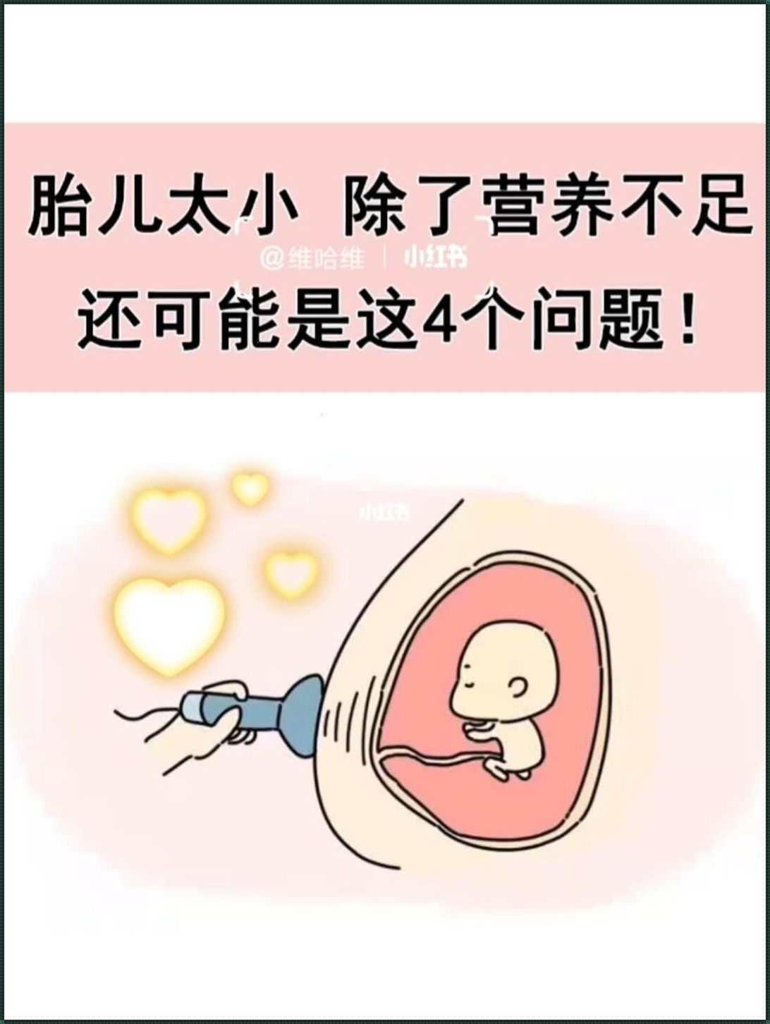 孕早期胎儿偏小几天的影响：生命之花的初绽