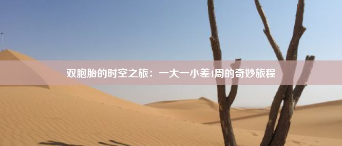 双胞胎的时空之旅：一大一小差4周的奇妙旅程