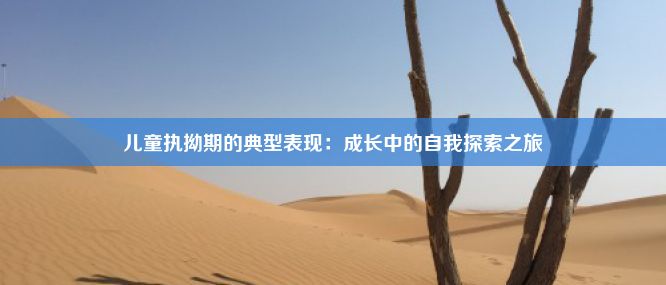 儿童执拗期的典型表现：成长中的自我探索之旅