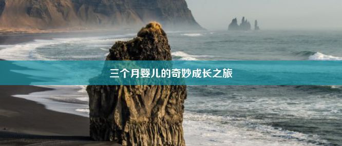 三个月婴儿的奇妙成长之旅