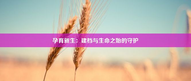 孕育新生：建档与生命之始的守护