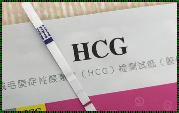 探秘生命之谜：HCG与怀孕的微妙关联