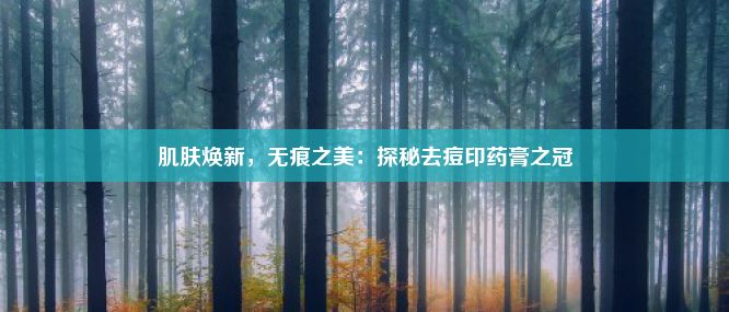 肌肤焕新，无痕之美：探秘去痘印药膏之冠