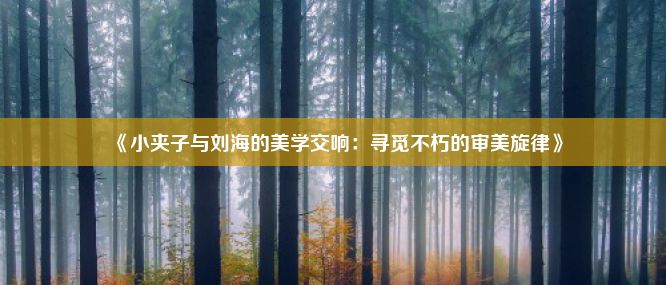 《小夹子与刘海的美学交响：寻觅不朽的审美旋律》