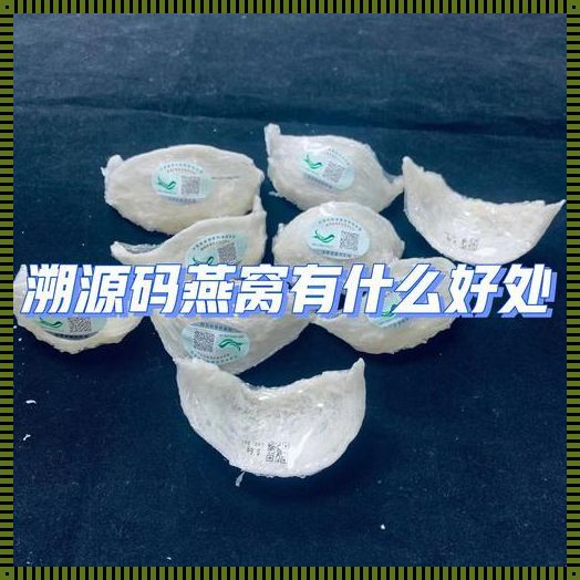 燕窝之翼：母婴社区的温馨守望