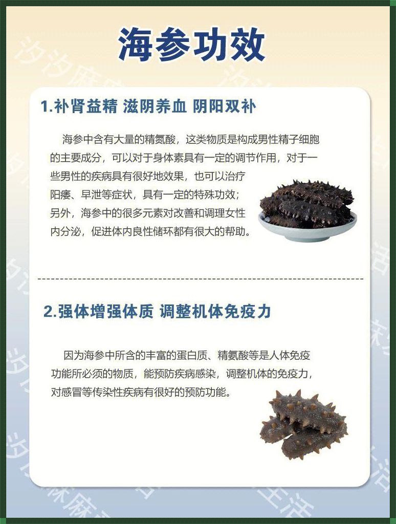 孕妇食用海参的科学探究与胎儿健康