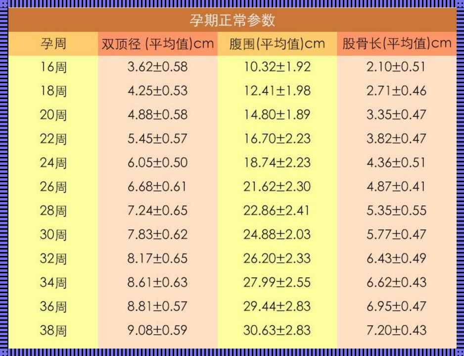 孕妇如何科学估算胎儿体重