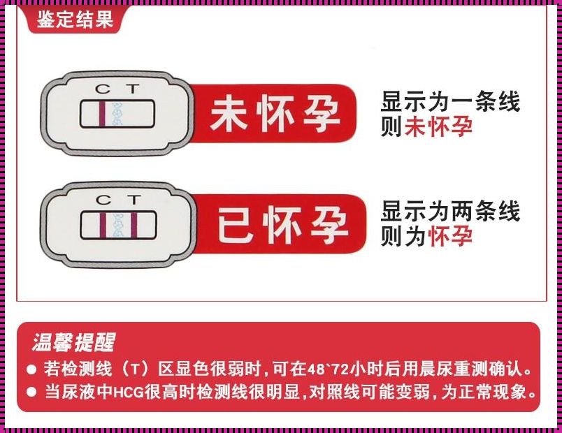 晨尿测孕：一个生命的最初印记