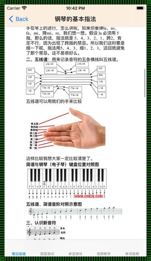 成人学钢琴：启程音乐之旅的第一步