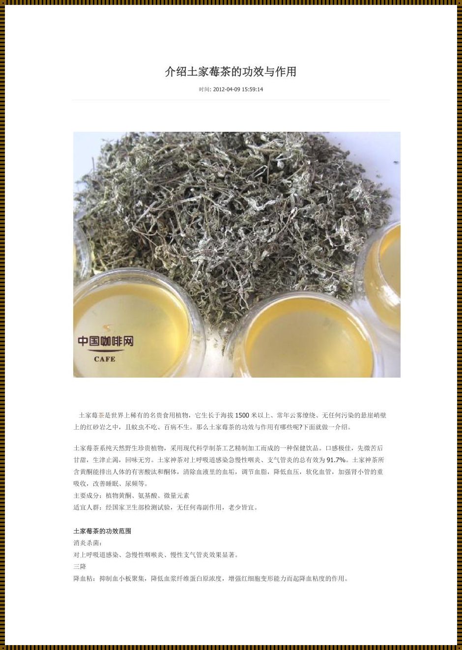 莓茶的功效与作用：探寻母婴社区推荐的惊奇饮品