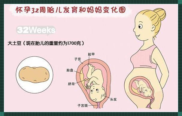 孕期胎儿腹围大怎么回事？