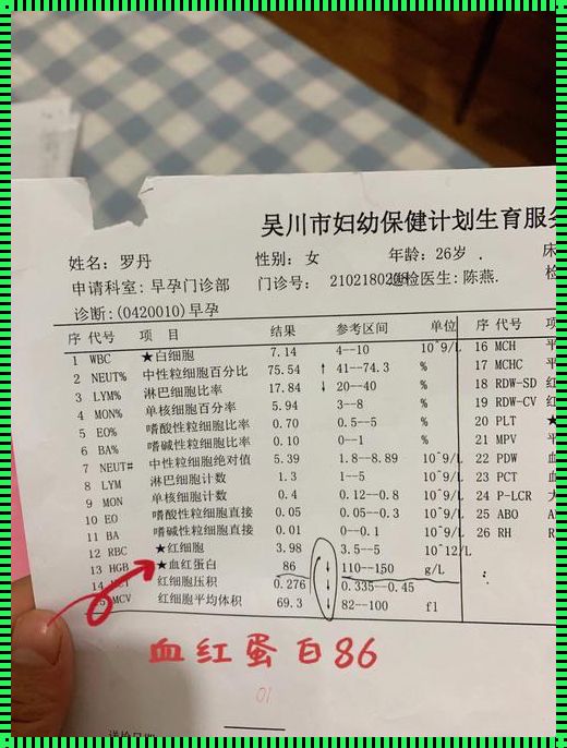 孕妇血红蛋白91：贫血的严重程度解析