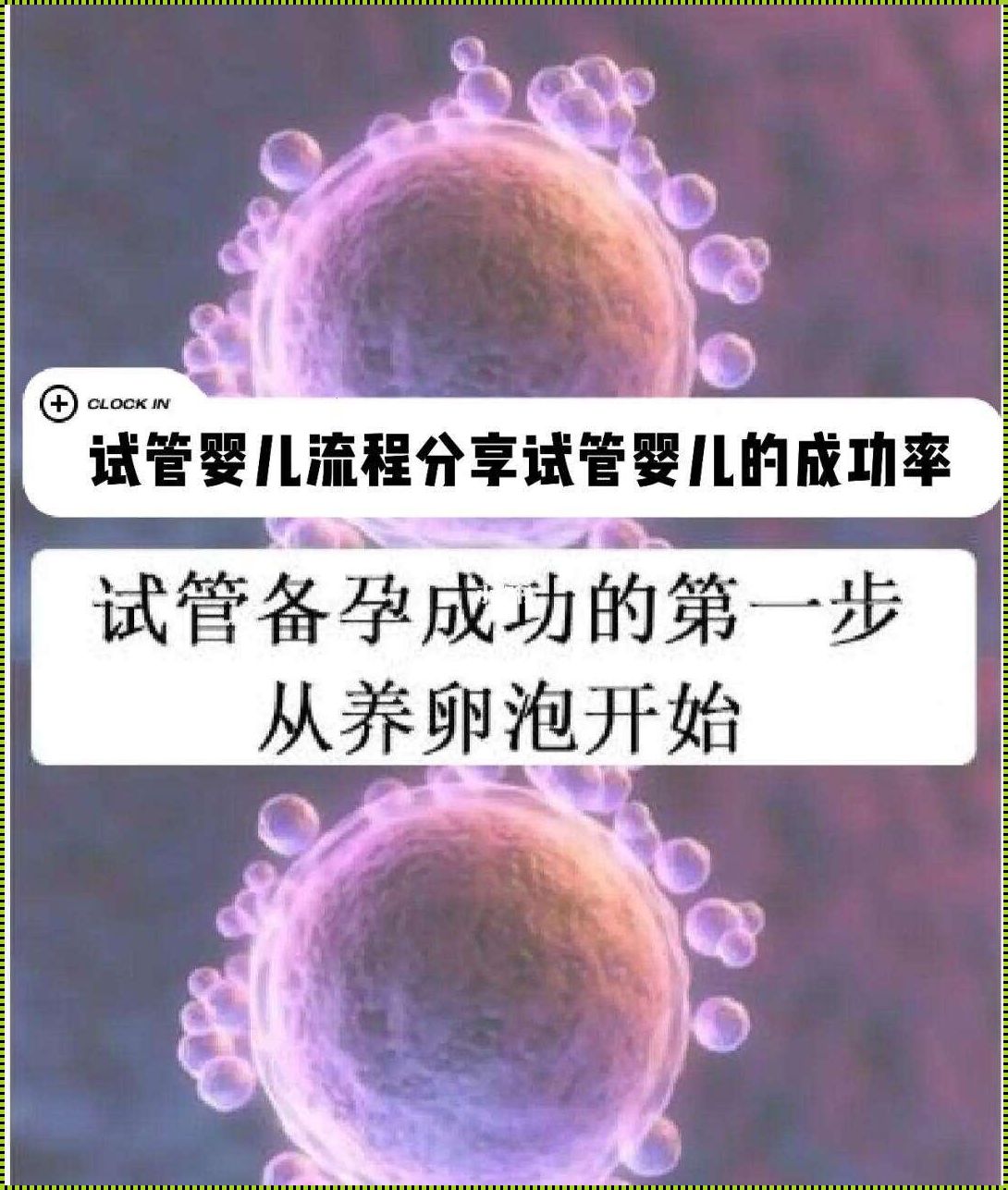 试管婴儿一次成功之路：母婴社区的秘诀探索