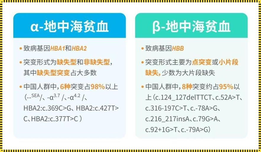 地贫还是贫血？揭秘产后恢复的误区与真相